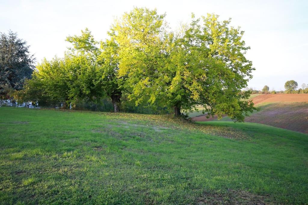 Villa Beatrice Pralormo Bagian luar foto